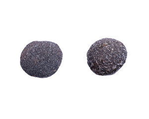 Set of concretion stones from southwest Kansas, USA. Kansas Pop Rocks isolated on white background. Contains a male (crystallized) and female (smooth) stone. 