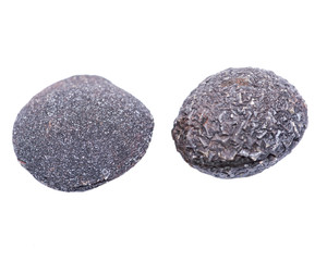 Set of concretion stones from southwest Kansas, USA. Kansas Pop Rocks isolated on white background....