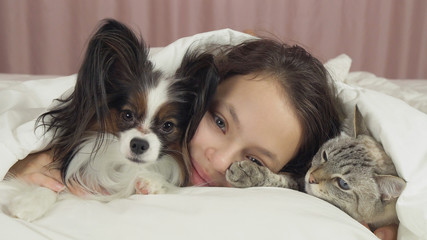 Happy teen girl communicates with dog Papillon and Thai cat in bed