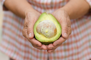 Benefits of avocado fruit is an incredibly healthy food and loaded with important nutrients. Avocado fruit on cupped hand of senior woman.