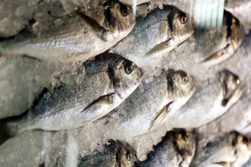 Photo background close-up delicious fish in ice