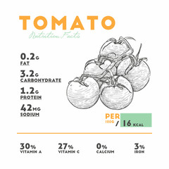 Nutrition facts of raw tomato vector.