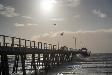 Obraz premium Henley Beach Jetty