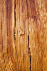 Exposed Wood