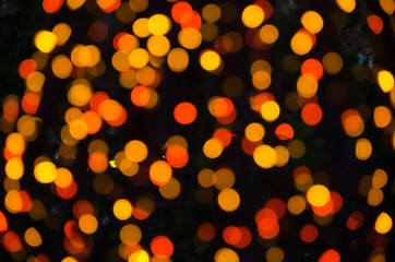 Holiday Lights