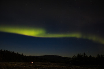 Aurora Borealis in Denali National Park Alaska