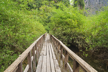 Obraz premium Boardwalk Over Wet Area