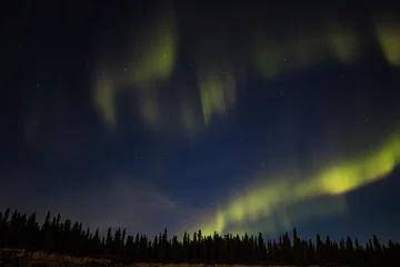 Fotobehang Denali Aurora Borealis in Denali National Park Alaska