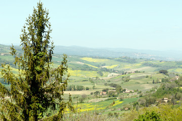 Fototapeta na wymiar Rural farm Landscape in Tuscany as seen fromPienza, Italy