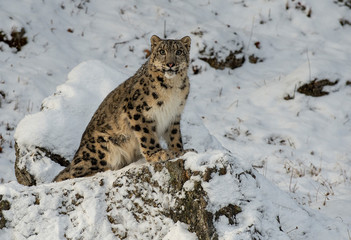 Has me in it's stare