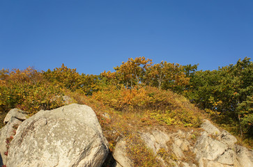 Fototapeta premium Landscape with mountains covered with plants in autumn.