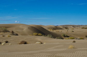 Fototapeta na wymiar The wide rolling sand dunes of the desert landscape in the fall sun. 