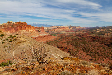 Obraz premium Capitol Reef National Park in the water pocket folds scenic landscape that makes this park famous