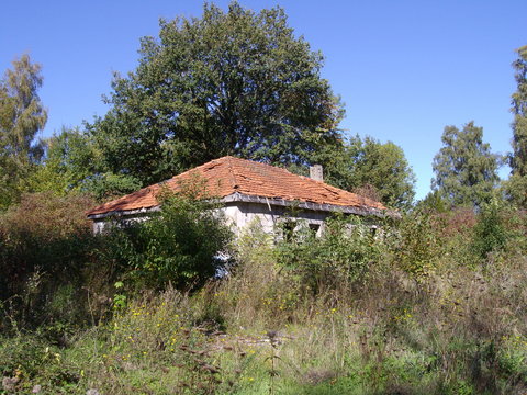 Verlassene und &uuml;berwachsene Geb&auml;ude