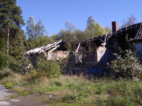 Verlassene und &uuml;berwachsene Geb&auml;ude