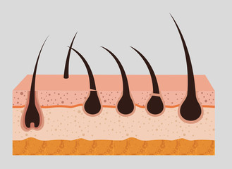 layers skin structure with hair removal icons