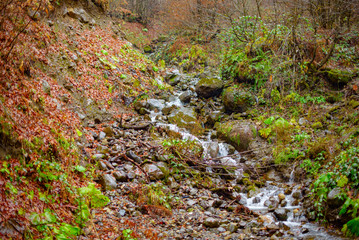 stream in the mountains