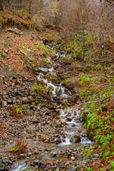 stream in the mountains