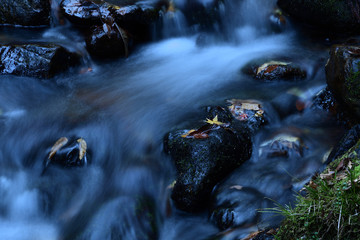 秋の渓流