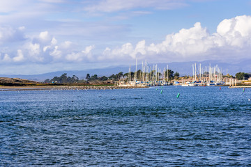 Fototapeta premium Landscape in Moss Landing harbor, Monterey Bay, California; sea otters floating in the water and a flock of pelicans resting in shallow water