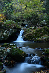 Obraz premium 秋の渓流