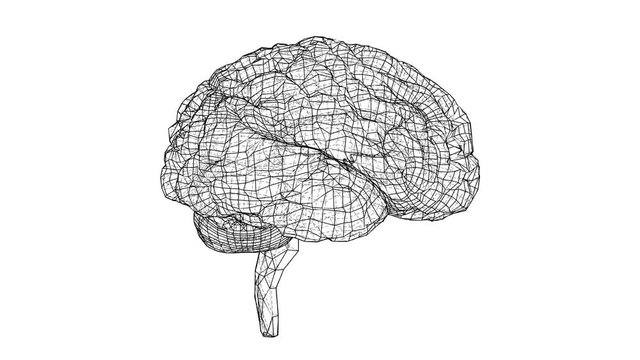 Human brain concept blueprint style