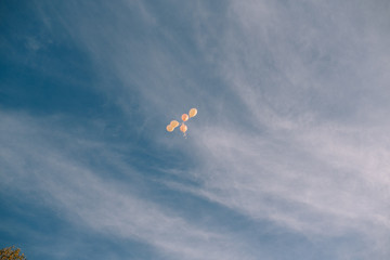 kite in the sky