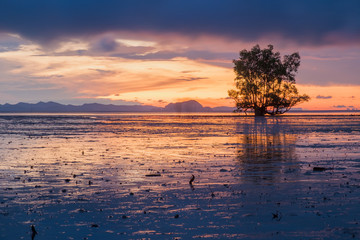Fototapeta na wymiar landscape background twilight scenery with sunset and have sunlight reflection on sea