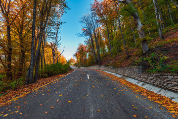 Highway in the autumn mountain forest