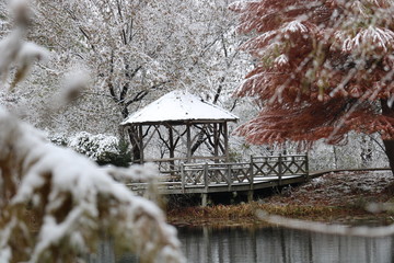 winter in the park