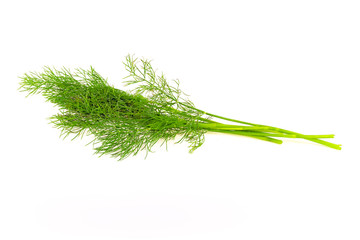 Several sprigs of dill large