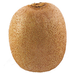 One whole kiwi fruit isolated on white background