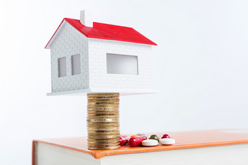 Real Estate / Medical / Education