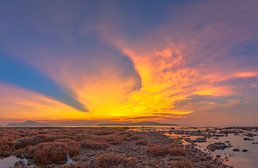 scenery sunrise above the coral reef. coral reef emerges from the water at a reduced water...
