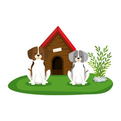 cute dogs with house wooden in the grass