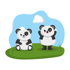 cute couple bears panda in the camp