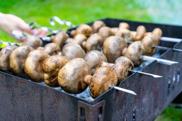 Mushrooms are fried on coals with the help of skewers