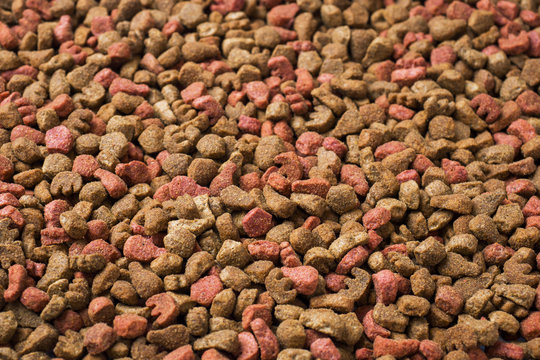 Dry cat food. Full population. Background of the granules.
