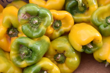 peperoni biologici