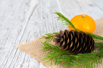 tangerine and fir tree branch with cone on jute napkin