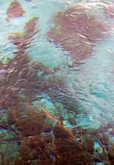 Abstract nature background image of the clearfresh water of Waikoropupu Springs, New Zealand.