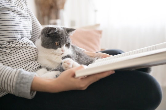 Reading with a kitten in his arms, filming indoors