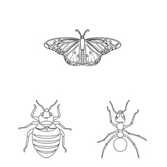 Isolated object of insect and fly icon. Collection of insect and element stock vector illustration.