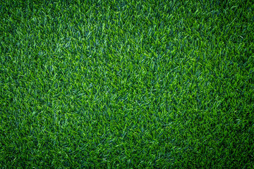 Green grass background