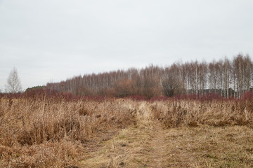 Yellow landscape in autumn cloudy day with field full of dry grass and road