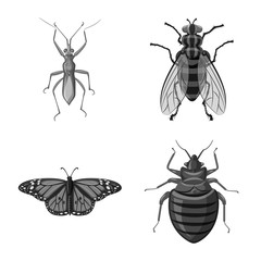 Vector illustration of insect and fly sign. Collection of insect and element stock symbol for web.