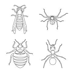 Isolated object of insect and fly sign. Set of insect and element stock vector illustration.