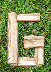 English letter from alphabet made from natural oak