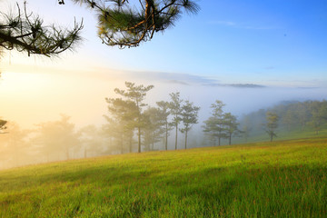 Amazing view of mountain, mist & cloud when dawn coming.