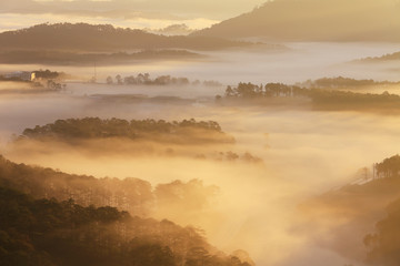 Amazing view of mountain, mist & cloud when dawn coming.